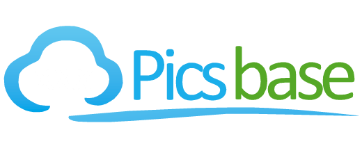 www.wantvids.com